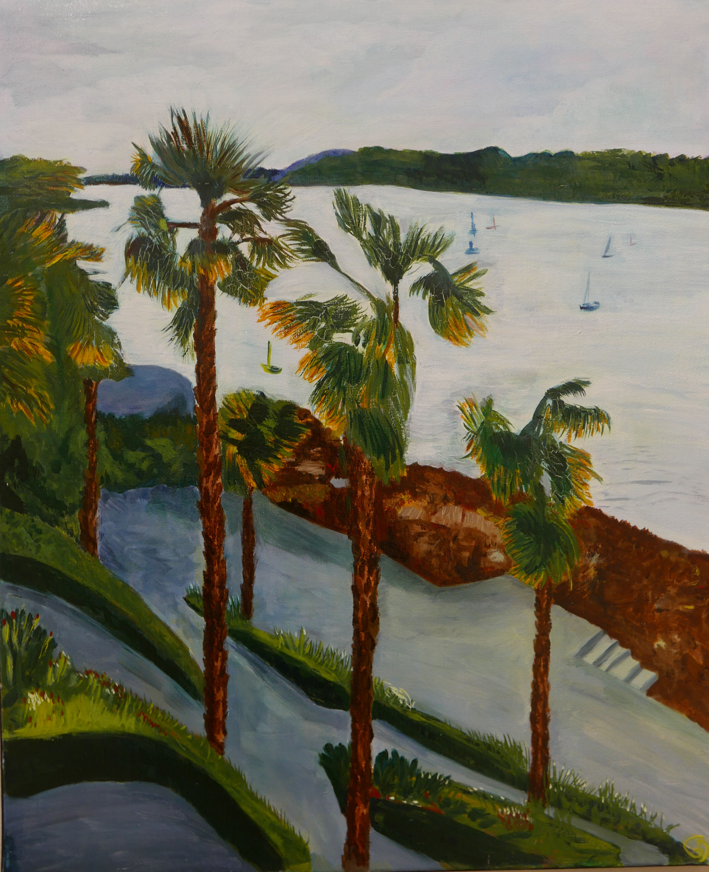 17 Dinard les palmiers en plongée 148 F12 61X50 cm